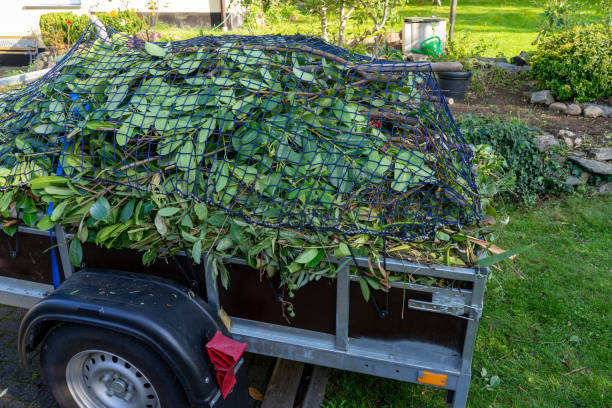 Best Scrap Metal Removal  in Swainsboro, GA